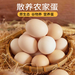 故乡食召 鸡蛋 初生鲜鸡蛋蛋 山林农家谷物鸡蛋 16枚 720g 4枚*4组
