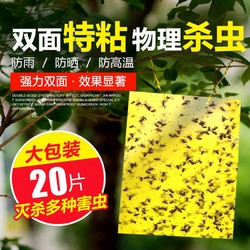 BEINENG 备能 粘虫板黄板诱虫板双面粘蝇纸蚊虫贴家用小飞虫诱捕器果蝇苍蝇贴纸 15*10cm（20张）