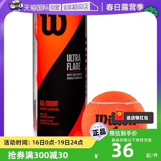 Wilson 威尔胜 新年款专业训练网球3只组合罐装正品网球拍