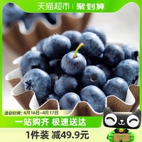 88VIP：Driscoll's怡颗莓 云南蓝莓125g*4盒中果新鲜水果顺丰包邮