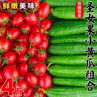 百亿补贴：壹亩地瓜 圣女果水果小黄瓜新鲜西红柿子樱桃番茄千禧生吃2/4斤