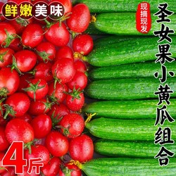 壹亩地瓜 圣女果水果小黄瓜新鲜西红柿子樱桃番茄千禧生吃2/4斤