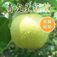 傻鲜森 皇冠梨青皮绿宝石梨 净重9斤装