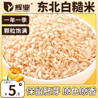 辉业 东北白糙米500g新米慥米饭五谷杂粮粗粮米玄米健身饱腹糟米