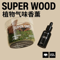 SUPER PLANTS 超级植物 无火香氛礼盒 苔藓款安吉竹海