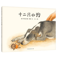 十二只小狗 儿童绘本3-6岁亲子共读图画故事书关于热爱生命的绘本系列课外阅读