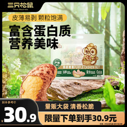 Three Squirrels 三只松鼠 紫皮腰果500g/袋 坚果炒货量贩干果休闲零食送礼一斤装混发