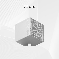 TEGIC PIN 锭 桌面理线铁块