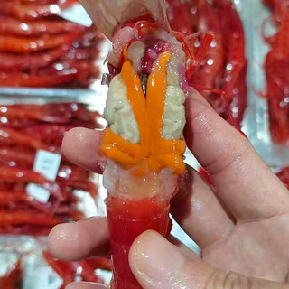 鲟食西班牙红魔虾新鲜刺身级 鲜活冷冻魔鬼虾生腌海鲜虾类 3-4只/斤【虾皇级22-24cm】