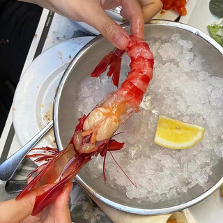 鲟食西班牙红魔虾新鲜刺身级 鲜活冷冻魔鬼虾生腌海鲜虾类 3-4只/斤【虾皇级22-24cm】