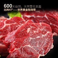 LONGJIANG WAGYU 龍江和牛 国产和牛 原切腱子肉 谷饲600+天 1kg