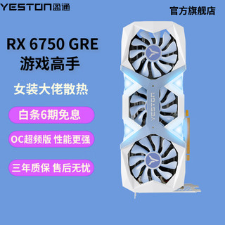 yeston 盈通 AMD RADEON RX 6750 GRE 游戏视频直播AI独立显卡 10G