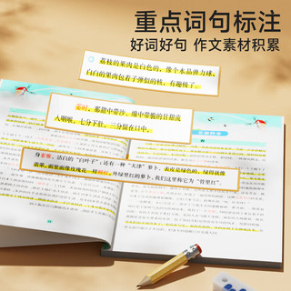 时光学60天优美句段篇积累小学句子好词好句好训练书每日打卡计划字词句强化记录本小好词好句好段积累本大全 60天优美句段篇积累+每日优美句子积累