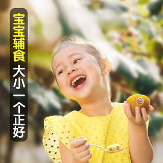 Zespri 佳沛 新西兰佳沛金奇异果5/12/30粒礼盒黄心猕猴桃水果