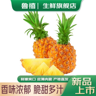 鲁禧香水菠萝 凤梨热带水果 水果 应季时令生鲜 新鲜采摘整个 【优选3-4个装】4.5-5斤