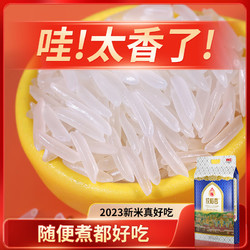 佼稻香 2023年新米泰香米大米长粒香米猫牙米丝苗米 贵点好吃不剩饭 双层真空10斤