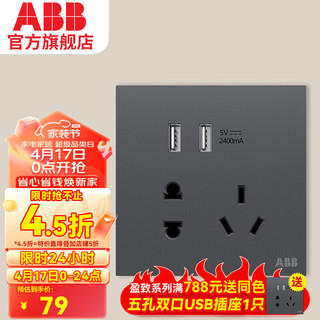 ABB 盈致系列 灰色 五孔带双USB插座