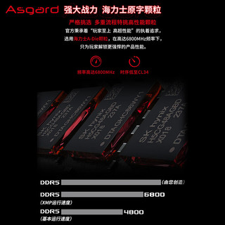 Asgard 阿斯加特 32GB(16Gx2)套 DDR5 6800 台式机内存条 RGB灯条-女武神·瓦尔基里M-power