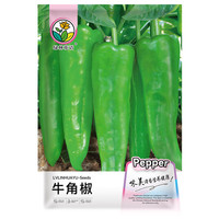 绿林花语牛角椒种子青辣椒尖椒籽四季庭院阳台盆栽田间大棚种植蔬菜种子