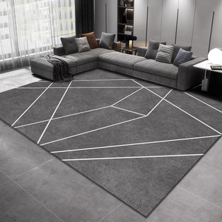KAYE地毯客厅茶几沙发毯子大尺寸卧室房间轻奢简约高级满铺家用床边毯 FS-T160 200x300 cm