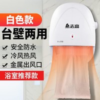 CHIGO 志高 暖风机壁挂式取暖器台式家用节能小型浴室电暖器办公室防水