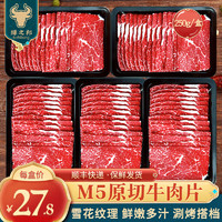 绿之邦（Luzhibang）澳洲M5原切牛肉片雪花牛肉卷谷饲肥牛卷寿喜冷冻火锅烤肉食材生鲜 M5牛肉片-1250g/5盒