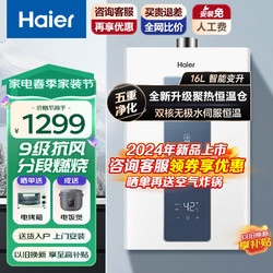 Haier 海尔 极速水伺服恒温燃气热水器升级分段燃烧ECO节能五重净化智能防冻CO安防PD5 16L