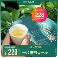 冰岛五寨生茶】云南临沧普洱古树春茶叶雨婷家茶铺 500g/提