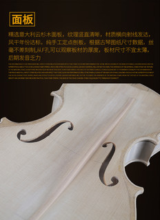 梵阿玲V019大师欧料纯手工小提琴专业级演奏高档成人4/4