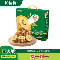 Zespri 佳沛 新西兰阳光金奇异果10粒礼盒巨大果单果约146-175g 买一赠一