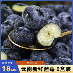 俏农优选 云南蓝莓 8盒 约125g/盒 18mm+ 新鲜水果