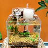 SOBO 松宝sobo 桌面小型鱼缸 208*190*200mm带滤材潜水泵  鱼缸客厅免换水生态塑料鱼缸水族箱家用