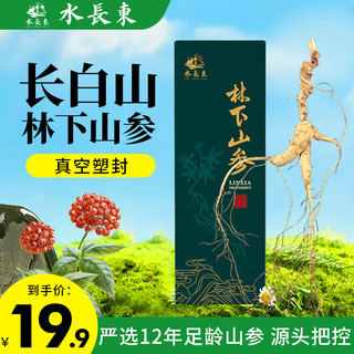 水长东 林下山参12年 长白山人参 5g/支 单支盒装礼品东北生晒参泡酒煲汤 干人参