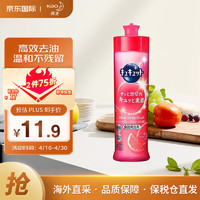 Kao 花王 果蔬餐具清洗剂 西柚香240ml