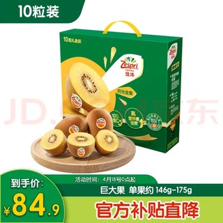 Zespri 佳沛 阳光金果 奇异果 超大果 单果146-174g 10个 礼盒装