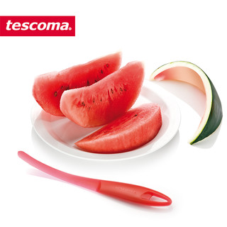 tescoma 捷克水果工具 西瓜切刀 果肉切刀 水果刀