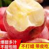 江博尔 甘肃天水红富士苹果3斤 60mm（含）-65mm(不含)