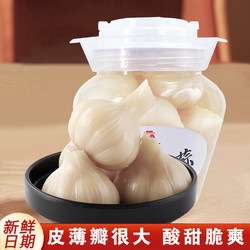 知香斋 糖蒜 精品坛装 480g*1