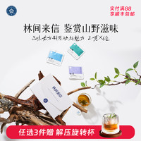 RIANTEA 林恩 林间茶信生姜茶红茶水果组合茶包花果袋泡茶女生办公室养生茶