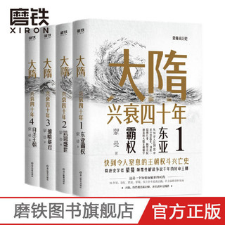 大隋兴衰四十年(全4册)全套全集 隋唐史学者蒙曼成名作 写尽大隋