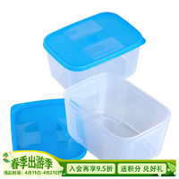 特百惠 冰箱冷冻保鲜盒700mlx2(颜色随机)家用食品级密封收纳盒
