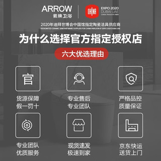 箭牌（ARROW） 壁挂式马桶嵌入墙排家用隐藏水箱悬挂式坐便器AE2001H 高水箱+马桶+普通盖板