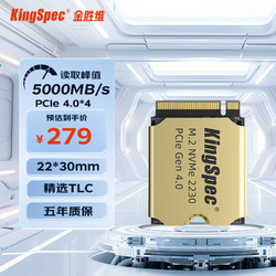 KingSpec 金胜维 XF  2230 NVME PCIE4.0*4掌机扩容 512GB（读取5000MB/S）