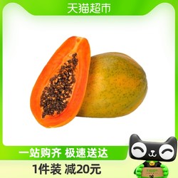 广西牛奶油红心木瓜4.5-5斤装(2-4个)单果500g+不催熟到就吃