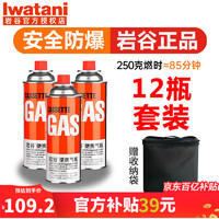 Iwatani 岩谷 便携卡式炉气罐丁烷气 岩谷原装气250克*12瓶+收纳包
