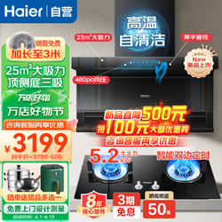 Haier 海尔 抽油烟机燃气灶套装 25m³大吸力自清洁油烟机+天然气灶