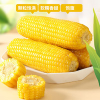 荆品名门 黄糯玉米甜糯玉米棒 5穗 800g