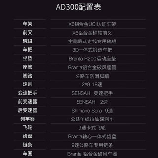 喜德盛（xds）公路自行车AD300线拉油碟刹18速成人 24款深灰/黑 700C*450 翠绿玫瑰金 700C*450 (155-165cm