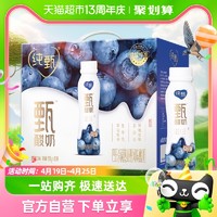 JUST YOGHURT 纯甄 蒙牛纯甄甄酸奶寒地蓝莓味230g×10瓶/箱