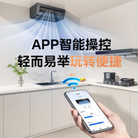 Midea 美的 厨房空调 专用吸顶式 小1.5匹 一级能效变频 防油烟